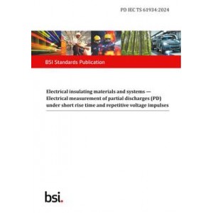 BS PD IEC TS 61934:2024